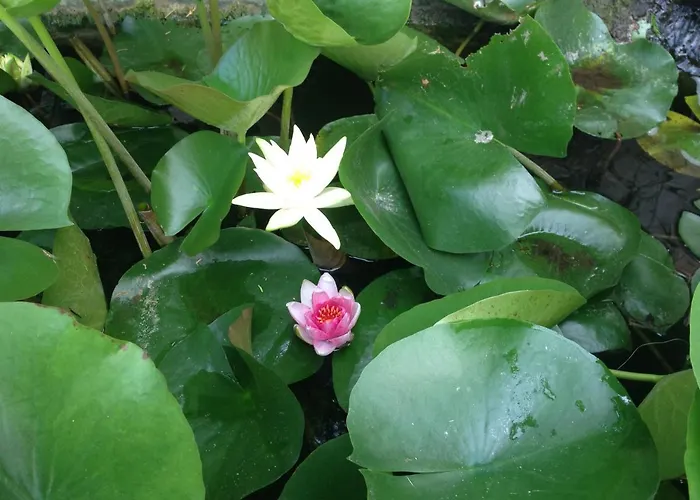 Michael's Apartment's * 依诺罗达