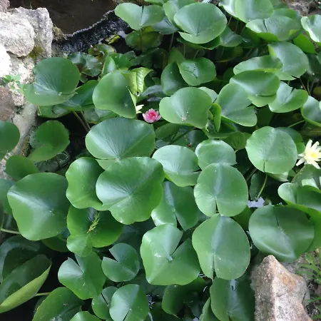 Michael's Apartment's Apartment *