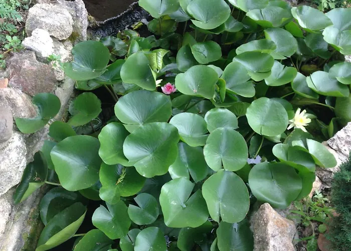 Michael's Apartment's Apartamento *